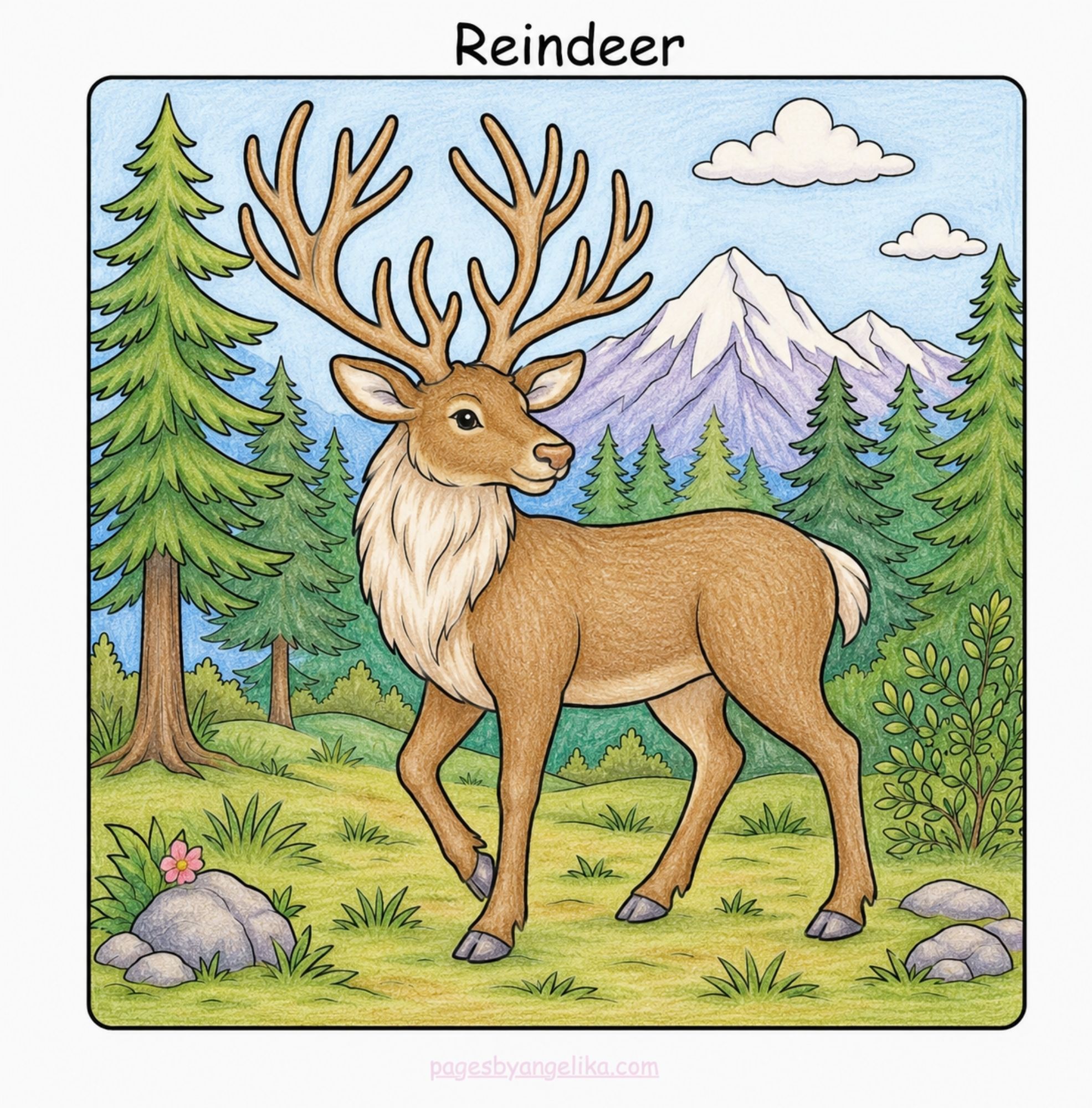 Colored page