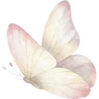 favicon Angel Ika
